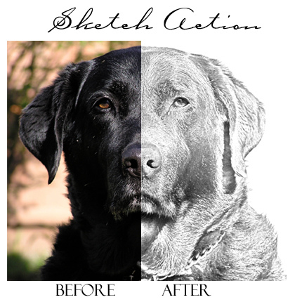 430x430 Photoshop Pencil Sketch Action - Turn Photo Into Pencil Sketch