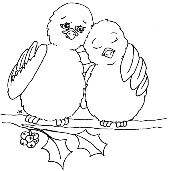 591x600 Turtle Dove Drawing - Turtle Dove Sketch