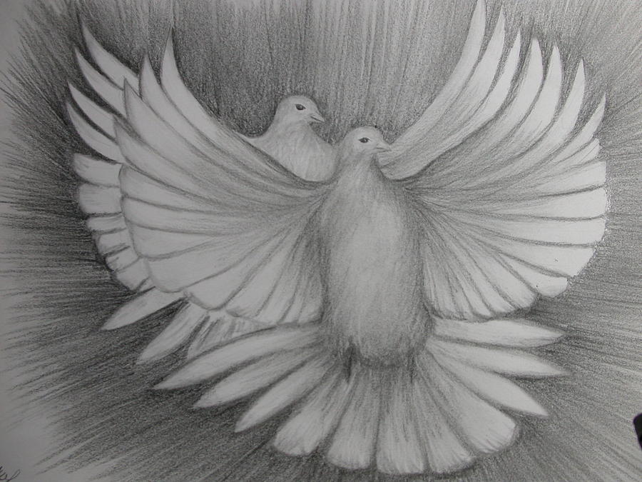 900x675 Two Turtle Doves Drawing By Carol Frances Arthur - Turtle Dove Sketch