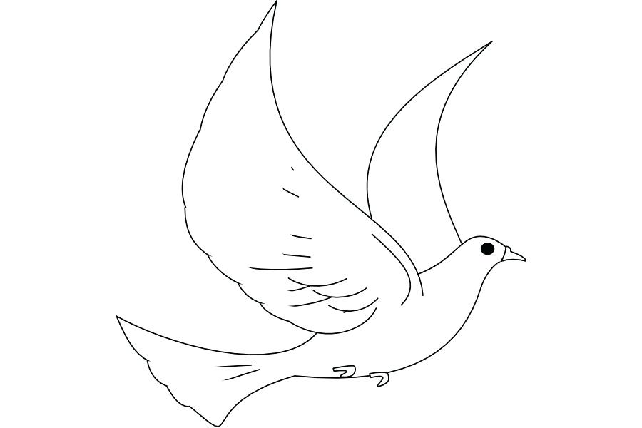 900x600 Cool Dove Drawing Exciting - Turtle Dove Sketch