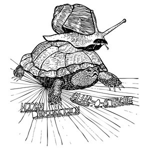 300x300 Turtle Shell Drawings Fine Art America - Turtle Shell Sketch