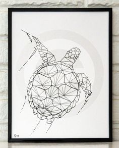 236x293 Turtle Shell Drawing - Turtle Shell Sketch