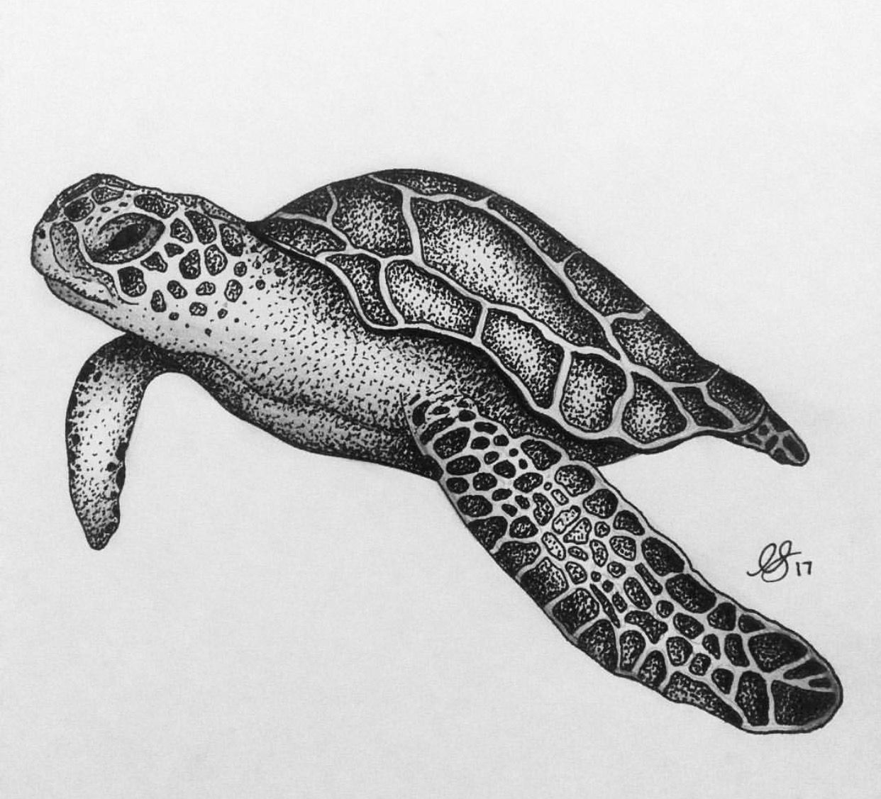 1242x1127 Sea Turtle Tattoo Sketch Maori Tattoos Tattoos - Turtle Sketch