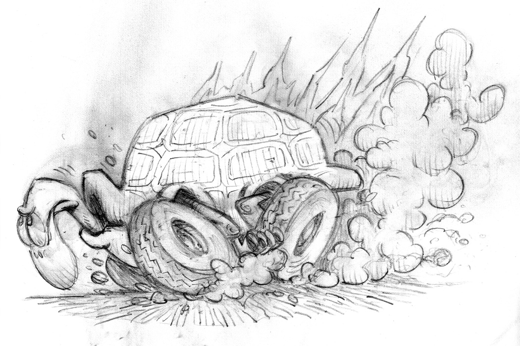 1050x700 Turtle Sketch - Turtle Sketch