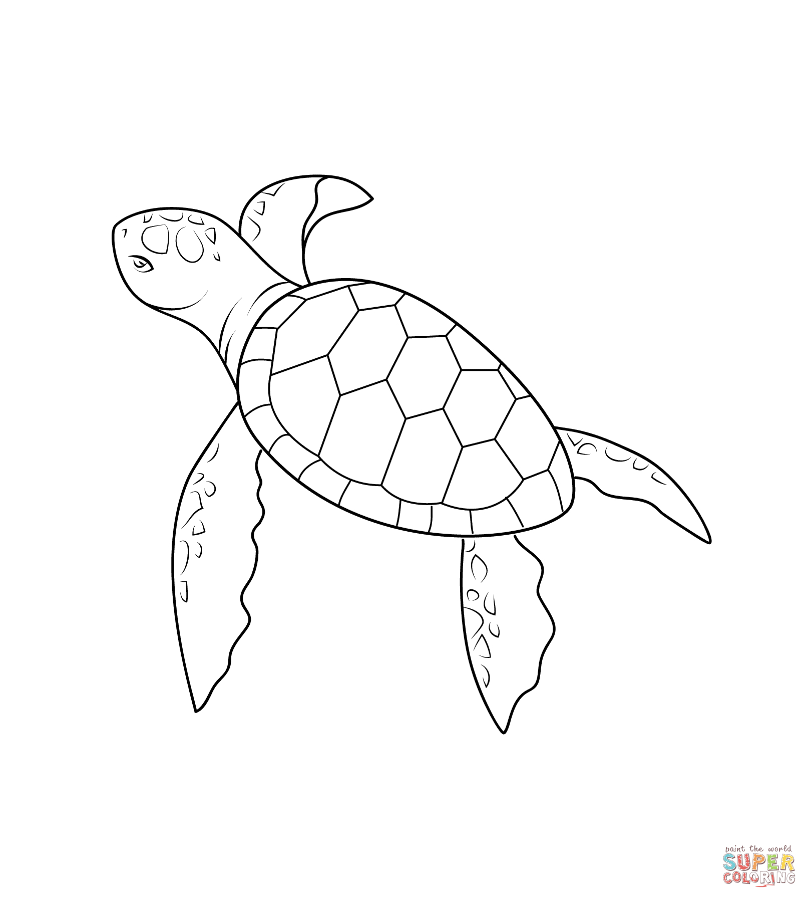 Turtle Sketch Easy at PaintingValley.com | Explore collection of Turtle