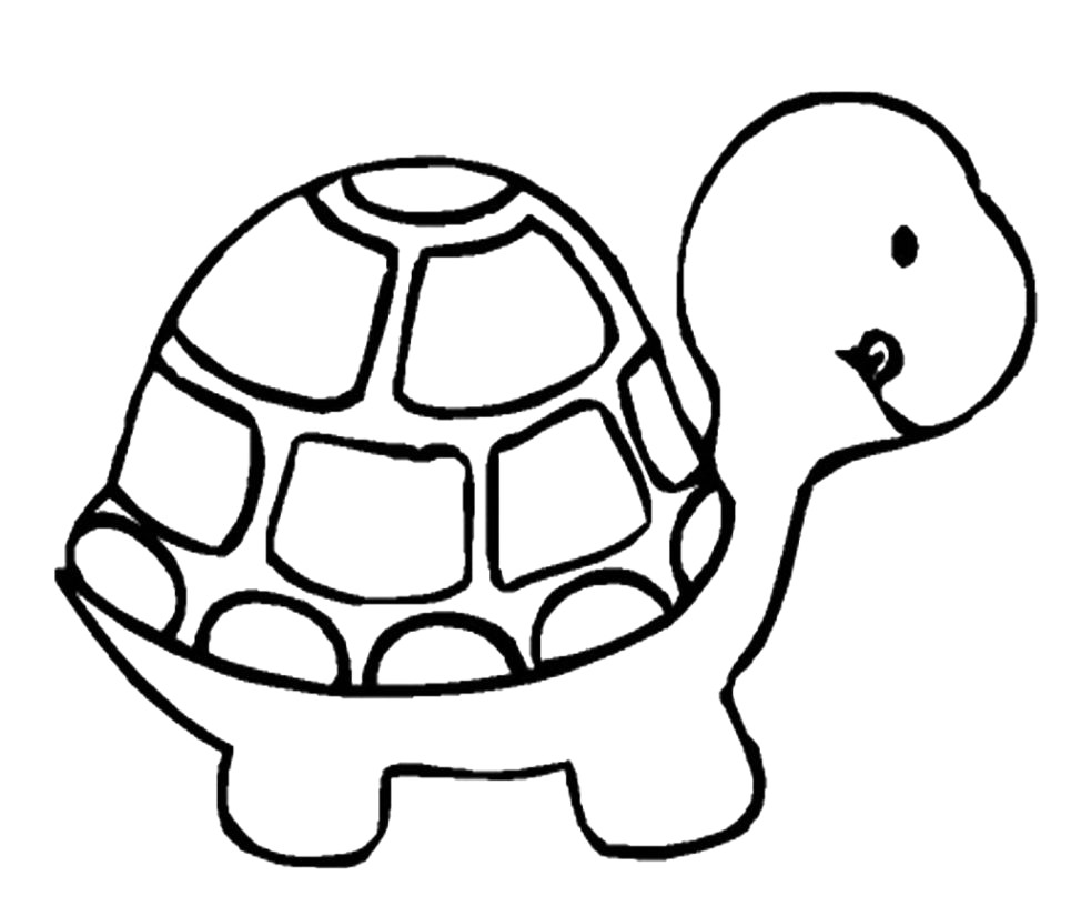 974x825 Turtle Sketch Drawing 6 Cartoon - Turtle Sketch Images