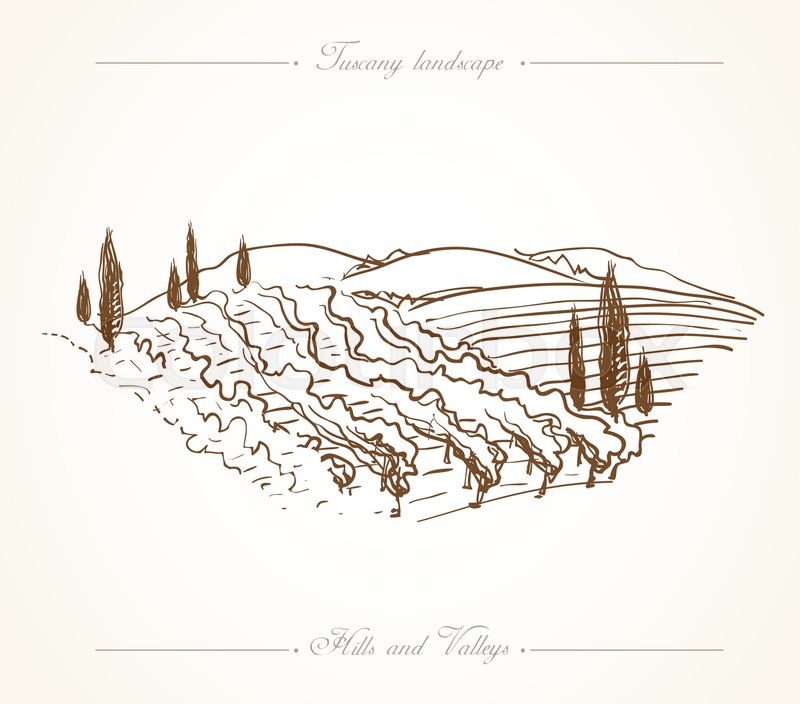 800x704 Tuscany Landscape With Fields, Hills. Hand Drawn Vineyard Or - Tuscany Sketch