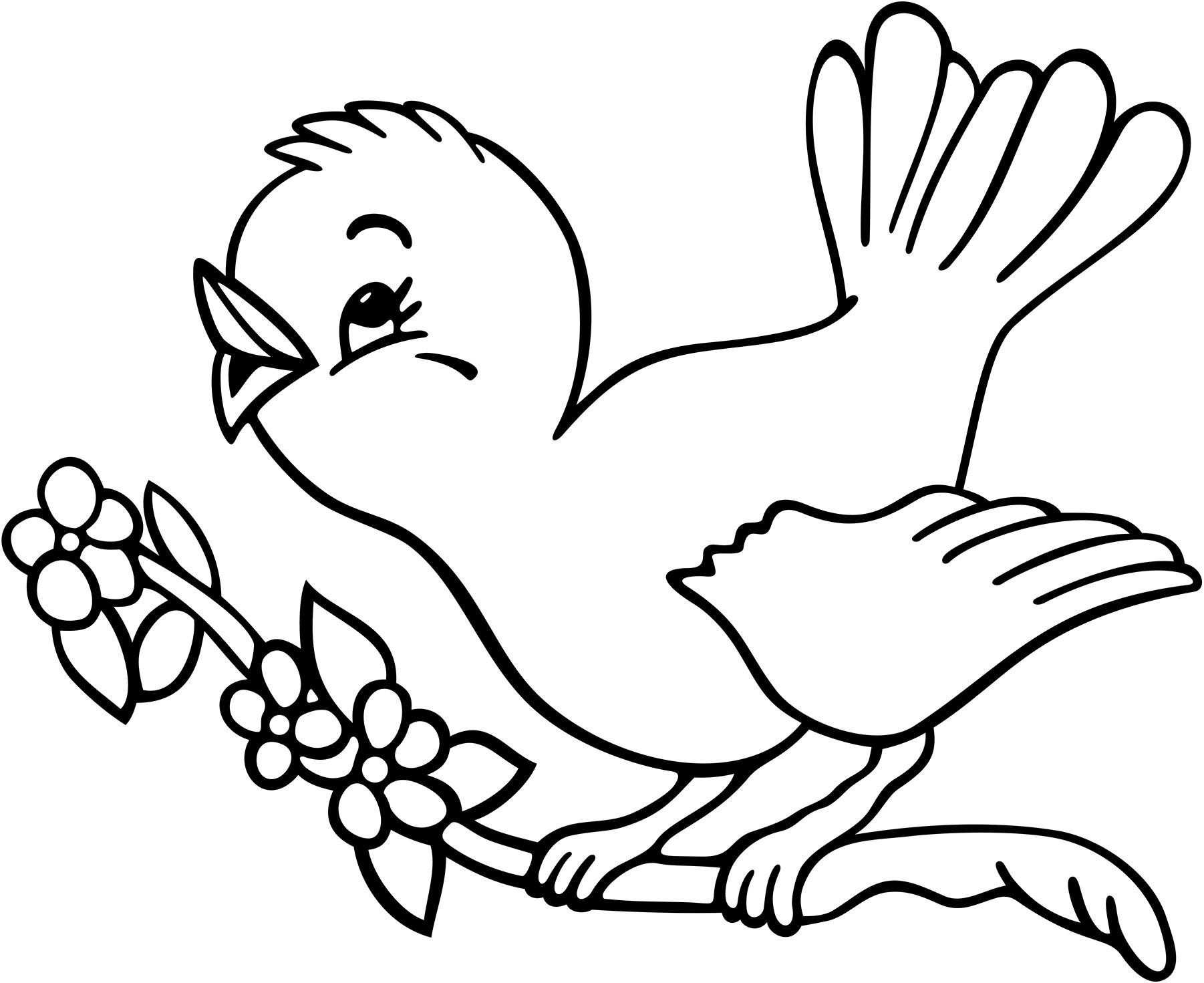 520 Bird Wings Coloring Pages Pictures