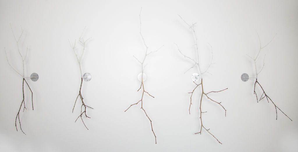 Twig Sketch