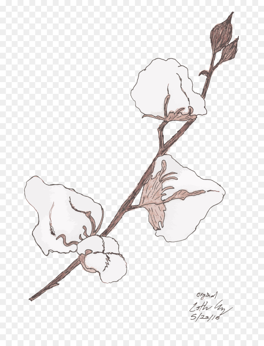 900x1180 Twig Sketch - Twig Sketch