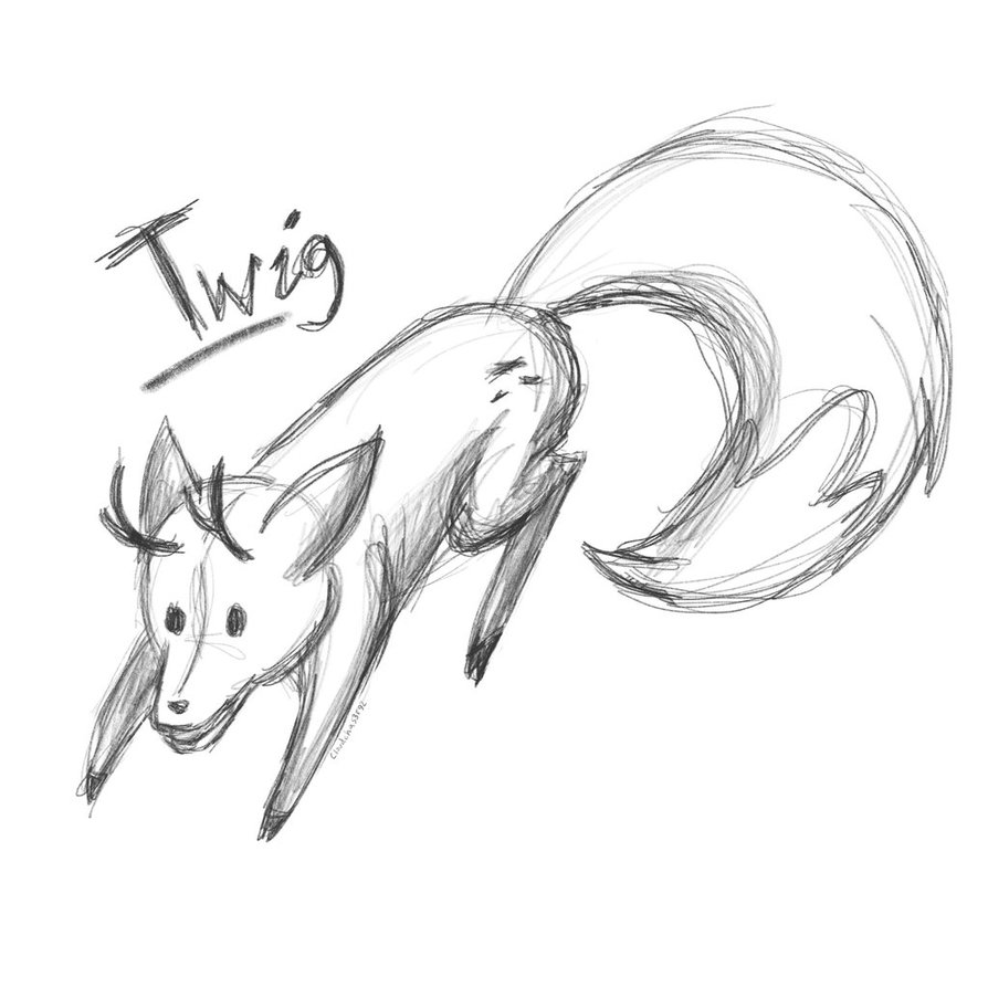 894x894 Twig Sketch By Cloudchas3r92 - Twig Sketch