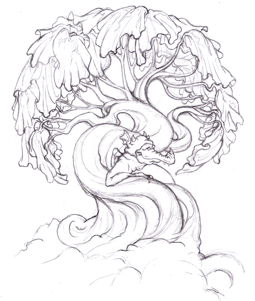 848x1000 Magellin . Blog Dragon Tree - Twisted Tree Sketch