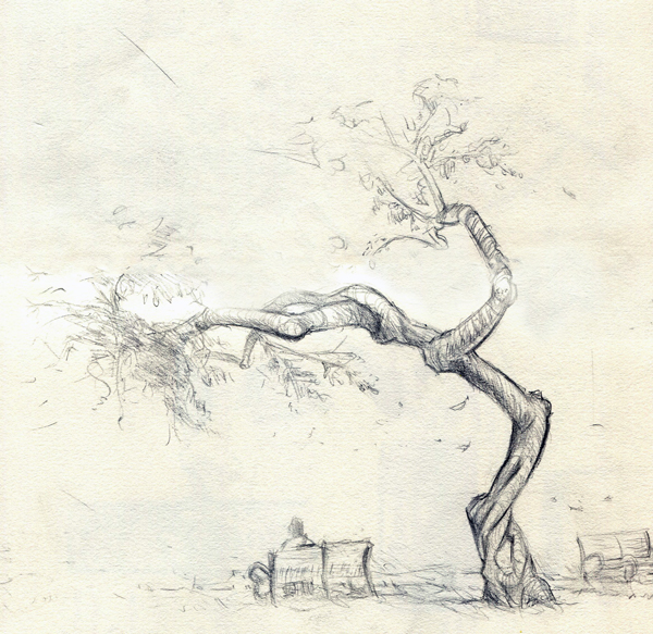 600x583 Stones Art Farragut West Twisted Tree - Twisted Tree Sketch