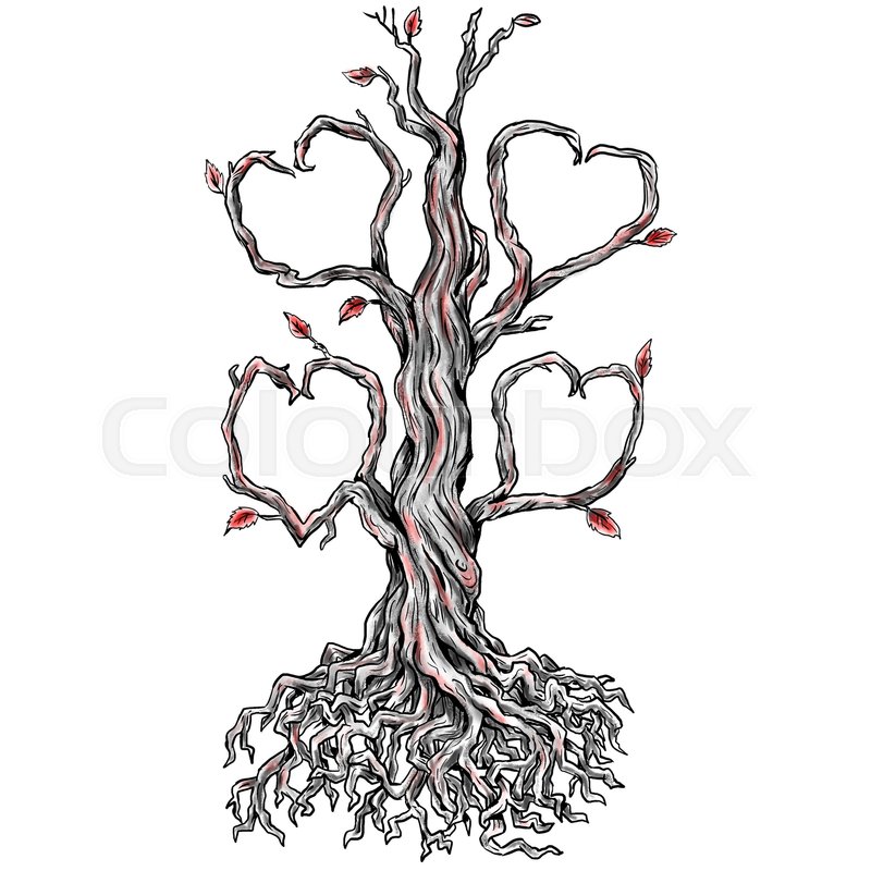 800x800 Tattoo Style Illustration Of A Twisted Oak Tree Without Leaves And - Twisted Tree Sketch