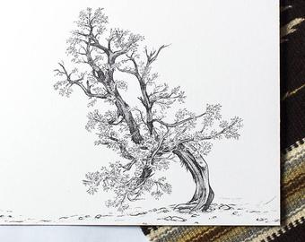 340x270 Twisted Tree Black And White Original Illustration Arches Etsy - Twisted Tree Sketch