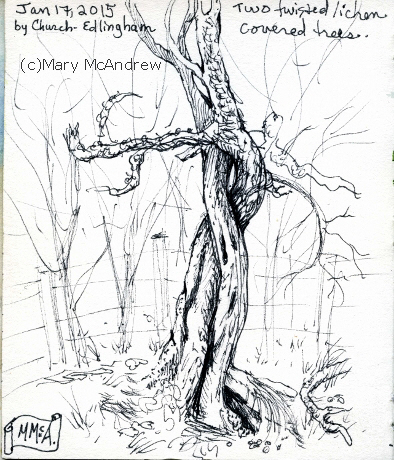 394x460 Mini Sketch Journal Mary Mcandrew - Twisted Tree Sketch