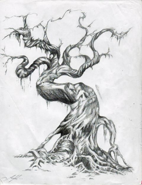 480x622 Twisted Tree Drawing - Twisted Tree Sketch