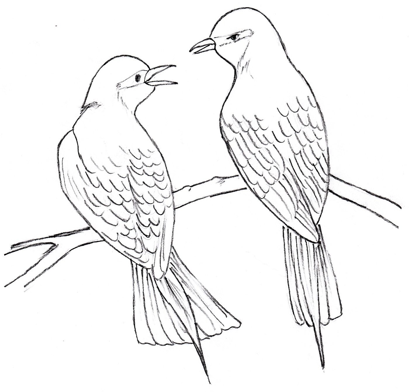 1400x1339 1400x1339 Drawing Of Two Birds Easy Drawings - Two Birds Sketch