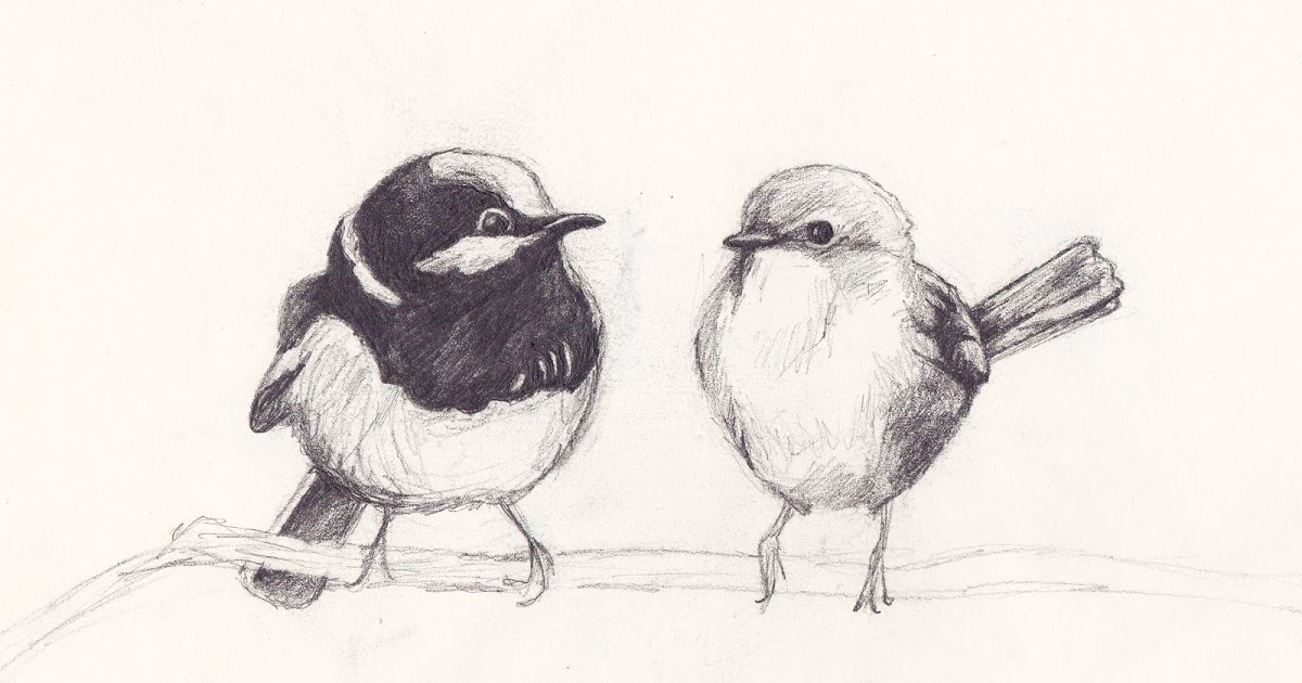 1200x630 Pointsies Two Birds. Also, It Seems That I Like Yoga. - Two Birds Sketch