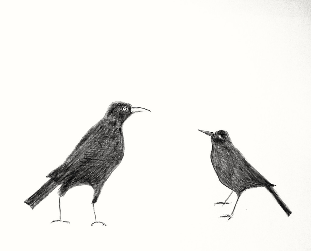 1024x827 Two Birds Drawing Of Birds Edgar Crook - Two Birds Sketch