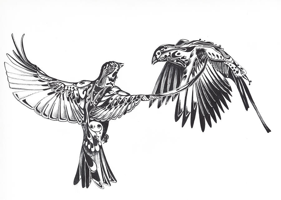 900x643 Two Birds Drawing By Gregory Ellis - Two Birds Sketch