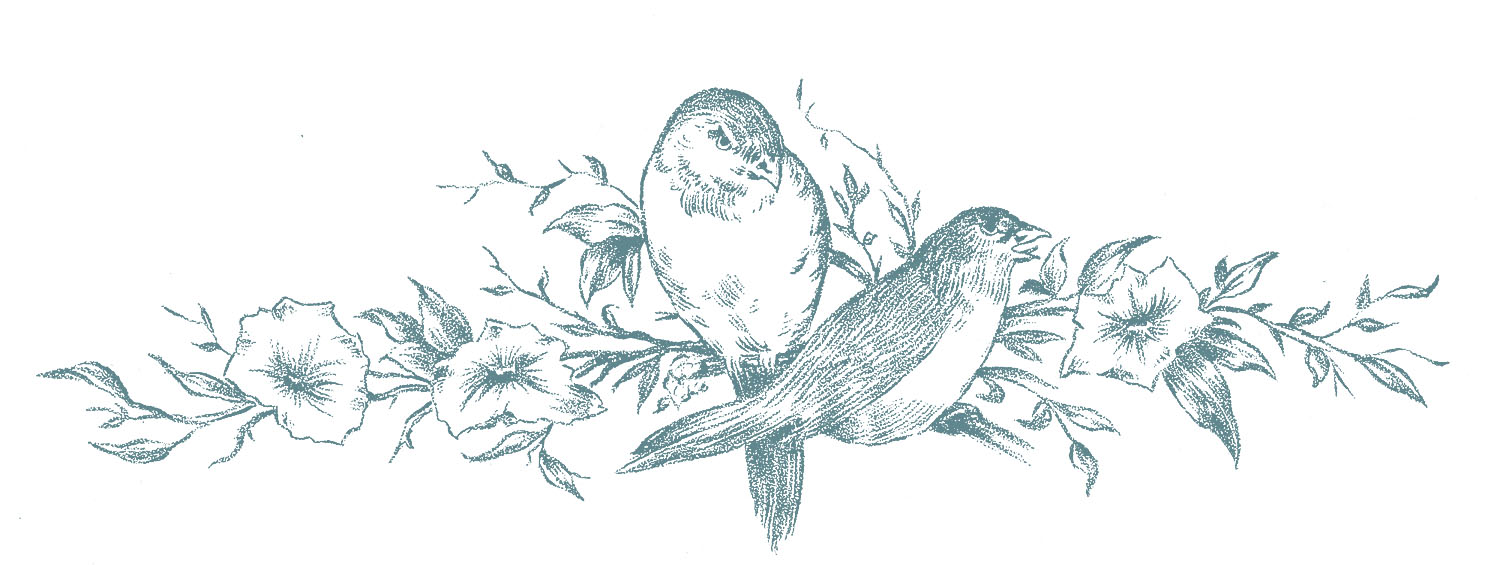 1485x565 Vintage Sketches - Two Birds Sketch