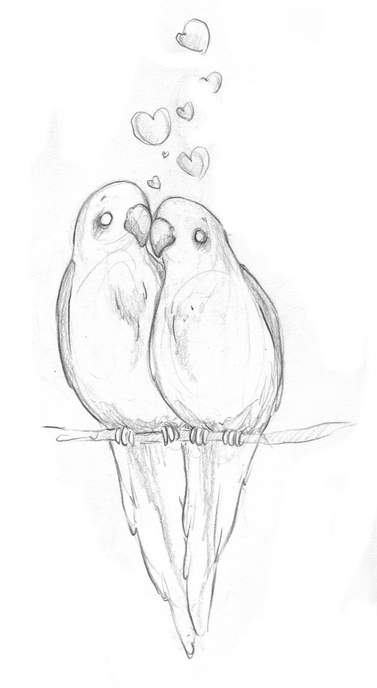 736x1341 Easy Meaningful Drawings Tumblr - Two Birds Sketch