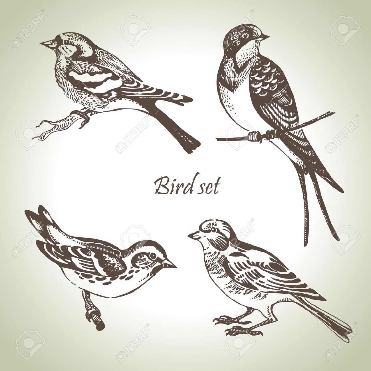 1300x1300 Two Birds On A Branch Drawing - Two Birds Sketch