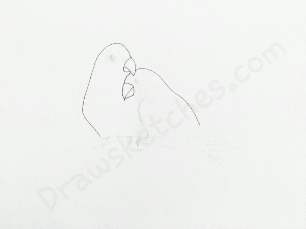 600x450 How To Draw Love Birds In A Few Easy Steps With Pictures - Two Birds Sketch