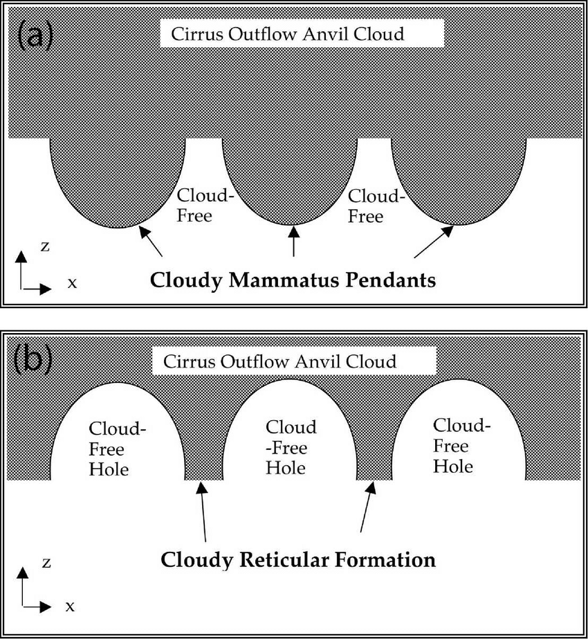850x923 Mammatus Vs Reticular Clouds. Two Dimensional Sketch Of Possible - Two Dimensional Sketch