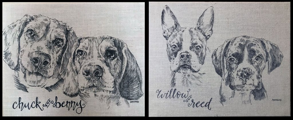 1024x419 Pet Sketch - Two Sketch