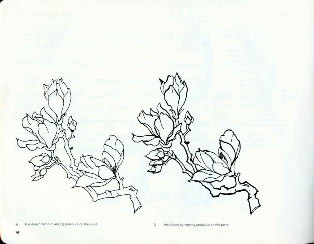 1016x788 Types Of Lines - Types Of Sketching