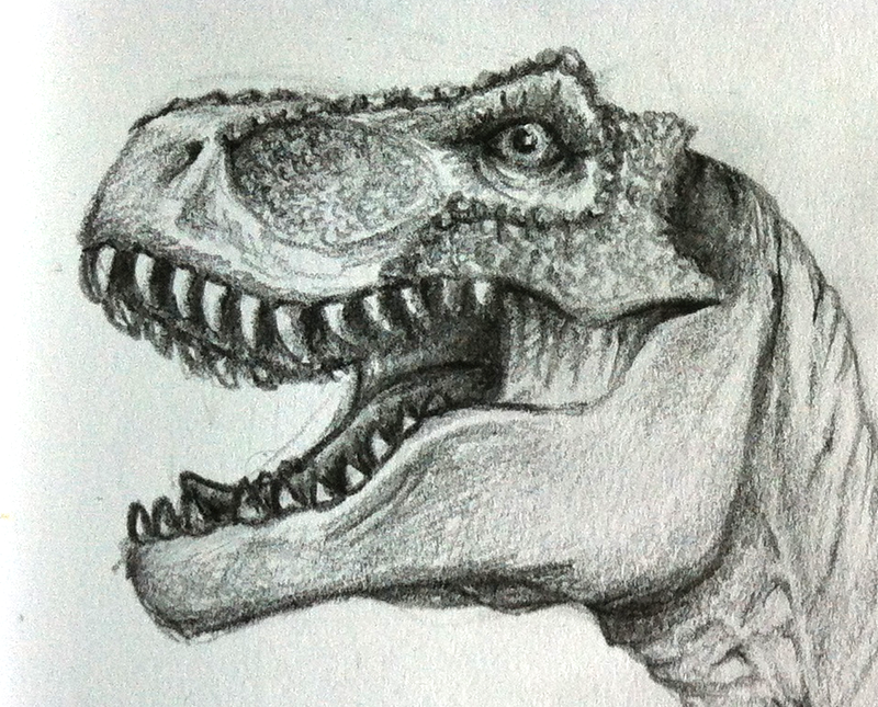 800x645 Pin By Ashley Douglas On Crafts Drawings, Sketches - Tyrannosaurus Rex Sketch