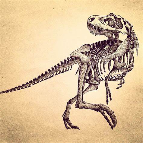474x474 T Rex Skeleton Drawing. T Rex Drawing Skeleton Archetype - Tyrannosaurus Rex Sketch