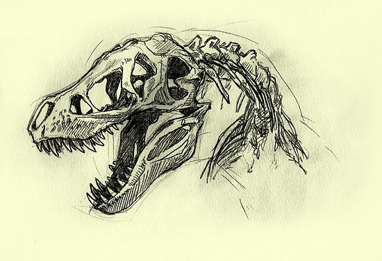 550x375 T Rex Sketch Posters By Erupan Redbubble - Tyrannosaurus Rex Sketch