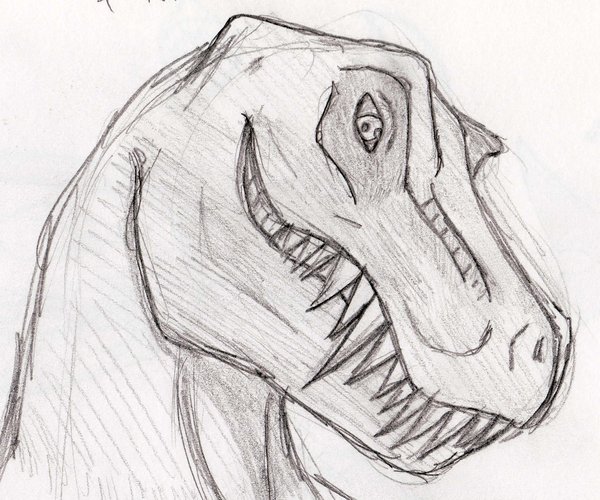 600x500 T Rex Sketch By Kiranookamihime - Tyrannosaurus Rex Sketch