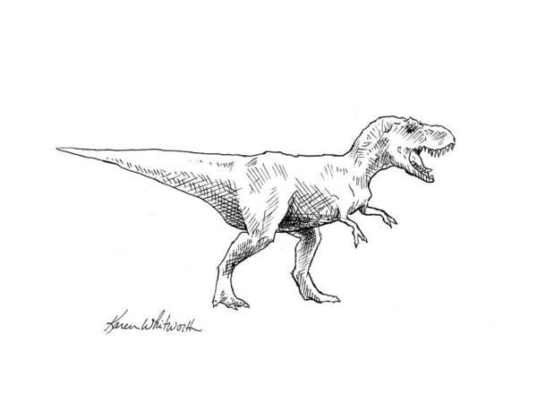 600x450 Tyrannosaurus Rex Dinosaur T Rex Ink Drawing Illustration Art - Tyrannosaurus Rex Sketch