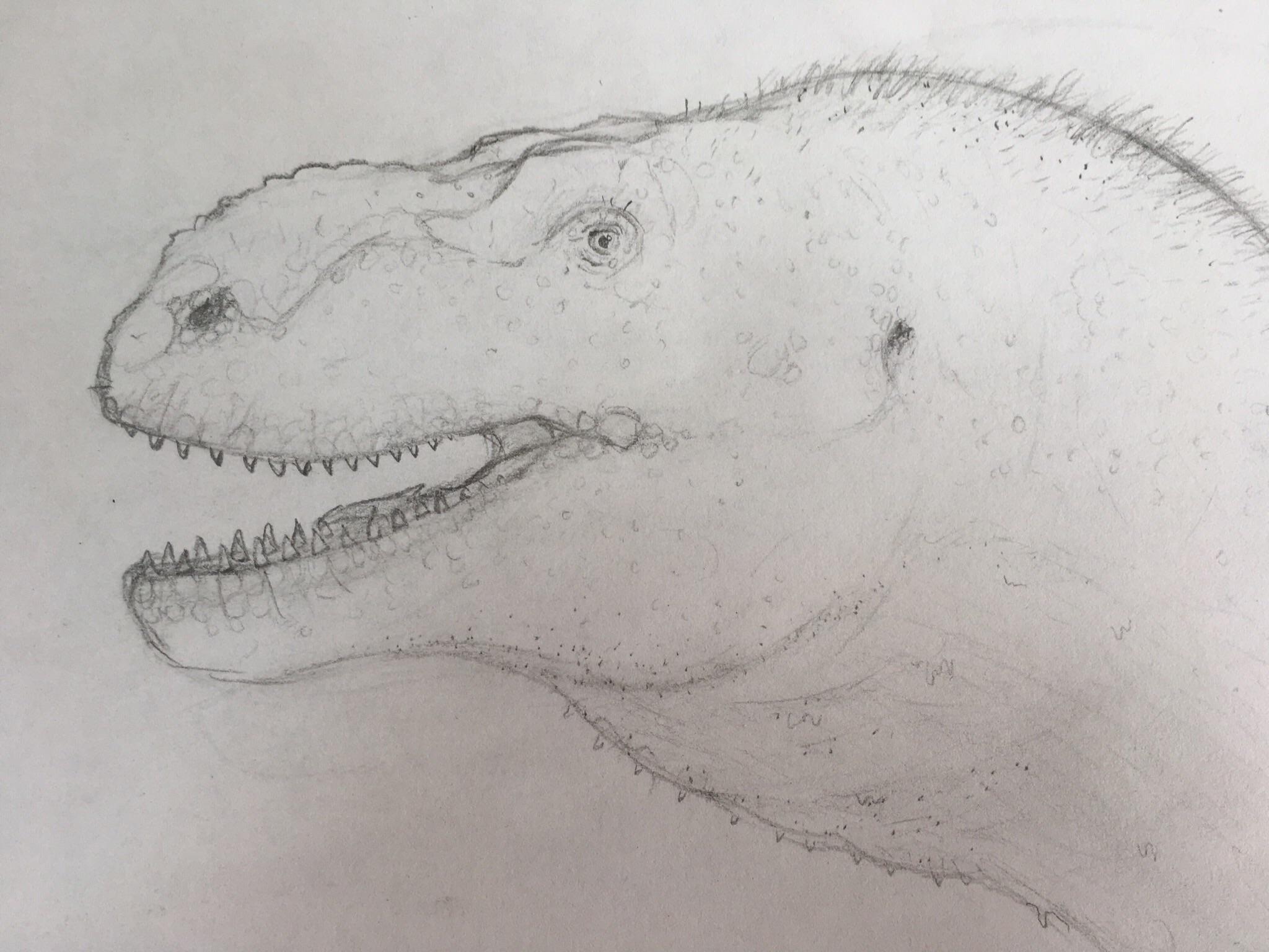 2048x1536 Dino Art] Tyrannosaurus Rex Sketch Dinosaurs - Tyrannosaurus Rex Sketch