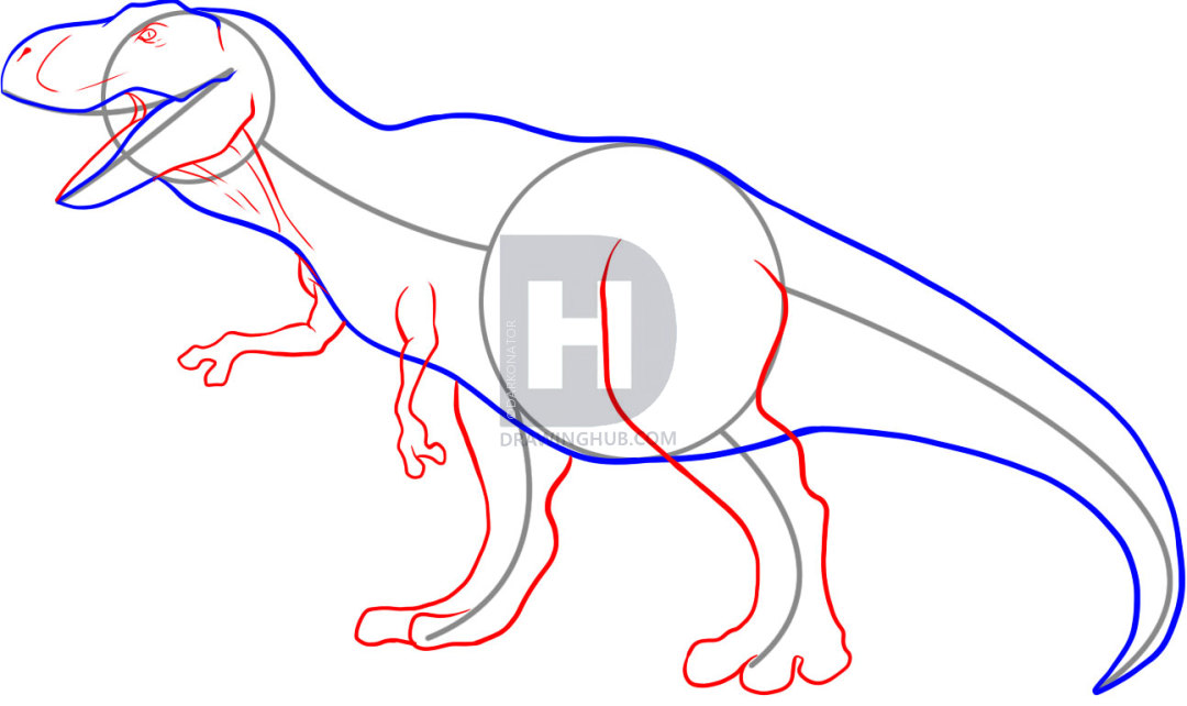 1080x642 How To Draw A Tyrannosaurus Rex, Step By Step, Drawing Guide, By - Tyrannosaurus Rex Sketch