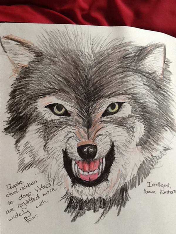 600x800 Ugly Research Sketches On Behance - Ugly Sketches