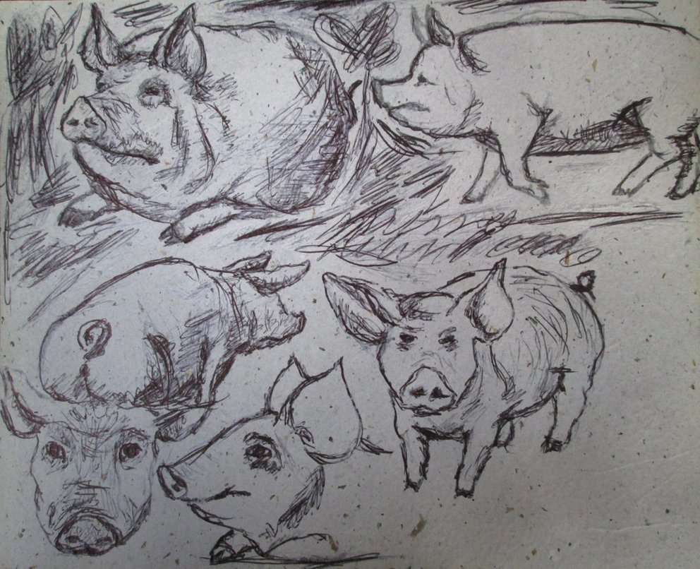 992x806 Ugly Sketches 13. By Boriatushiski - Ugly Sketches