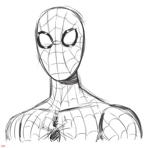 473x473 Ultimate Spiderman - Ultimate Sketches