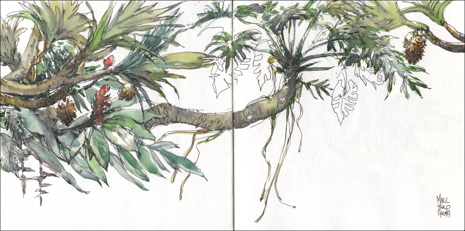 1600x797 Water Soluble Ink The Ultimate Sketching Kit Citizen Sketcher - Ultimate Sketches