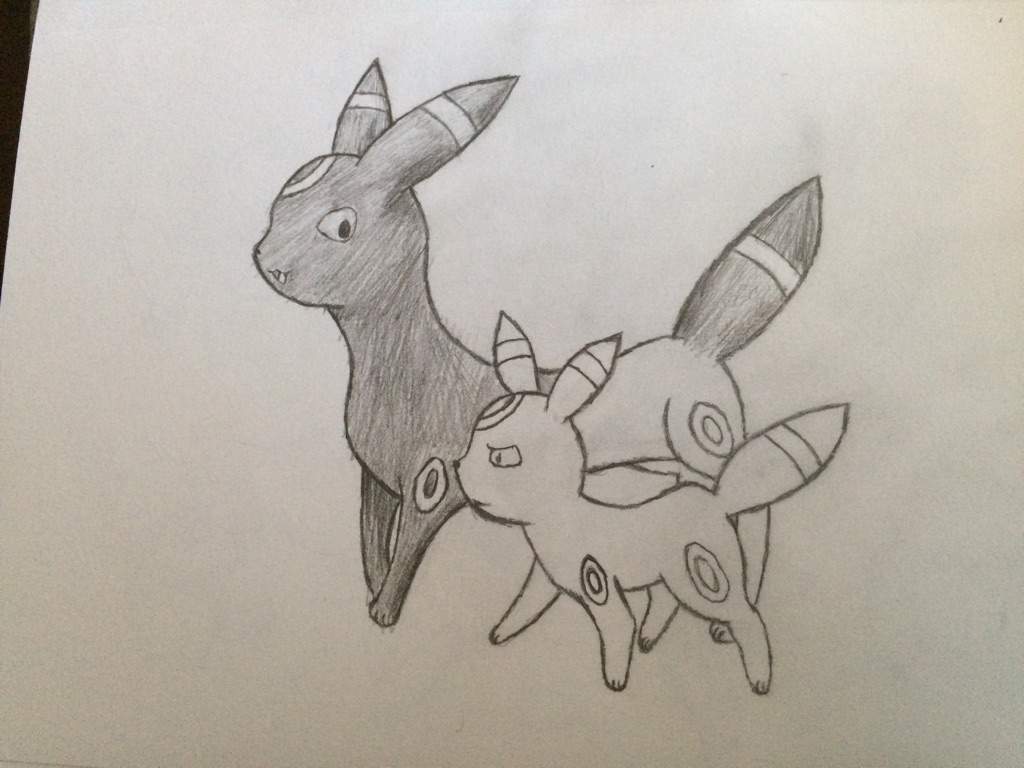 1024x768 Umbreon Sketch Amino - Umbreon Sketch