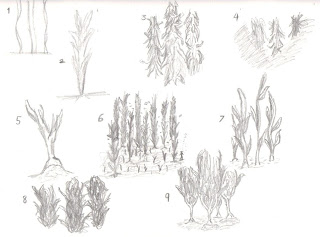 320x237 Jebb Bobbett (Ba Hons) Cg Arts Amp Animation October 2012 - Under The Sea Sketch