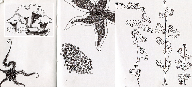 670x304 Sketch Book - Under The Sea Sketch
