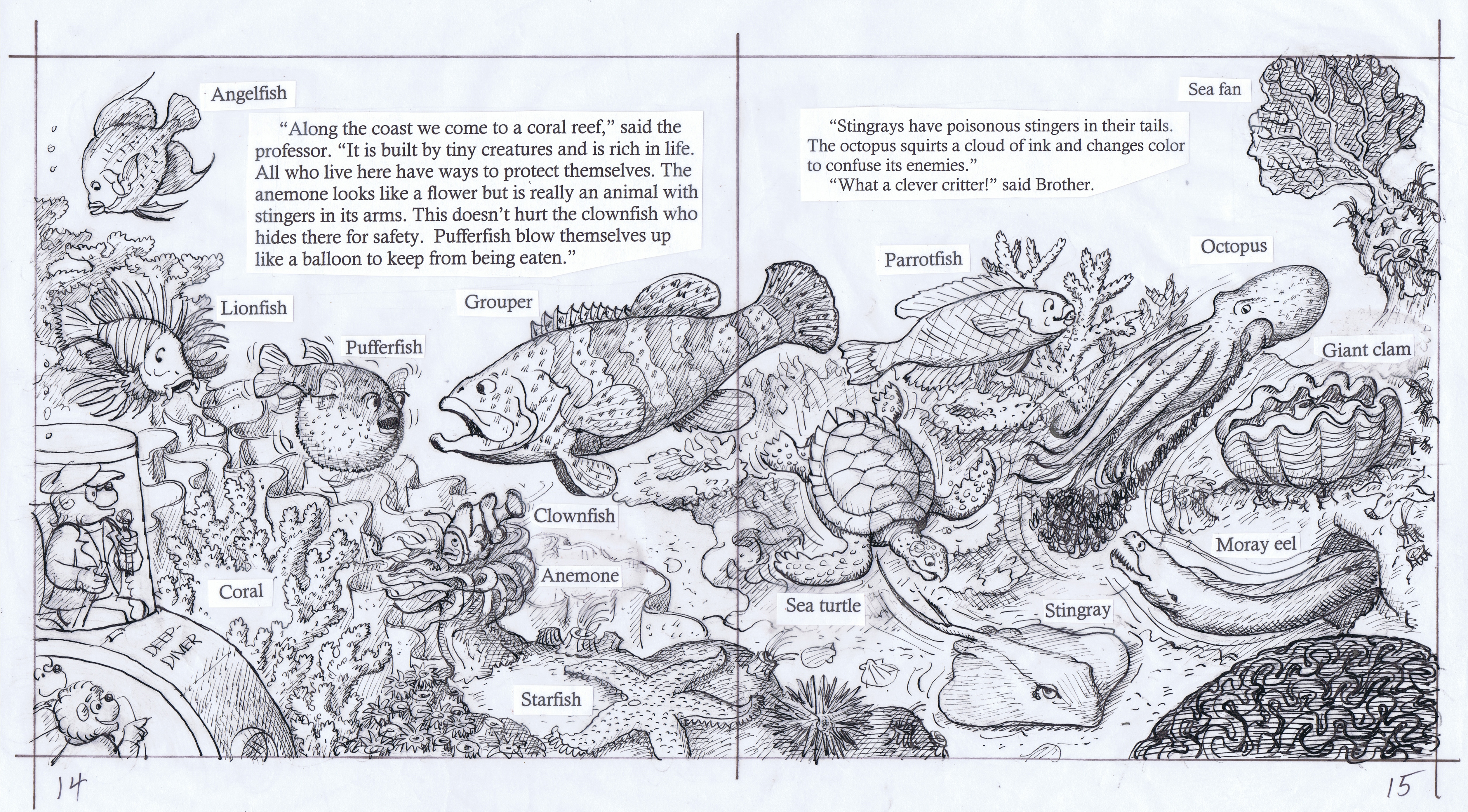 5028x2782 Under The Sea The Berenstain Bears Blog - Under The Sea Sketch