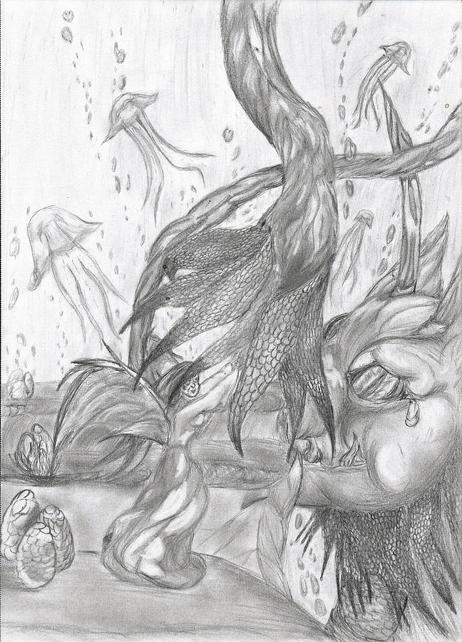 648x900 Under The Sea Drawing By Melissa Birdsong - Under The Sea Sketch