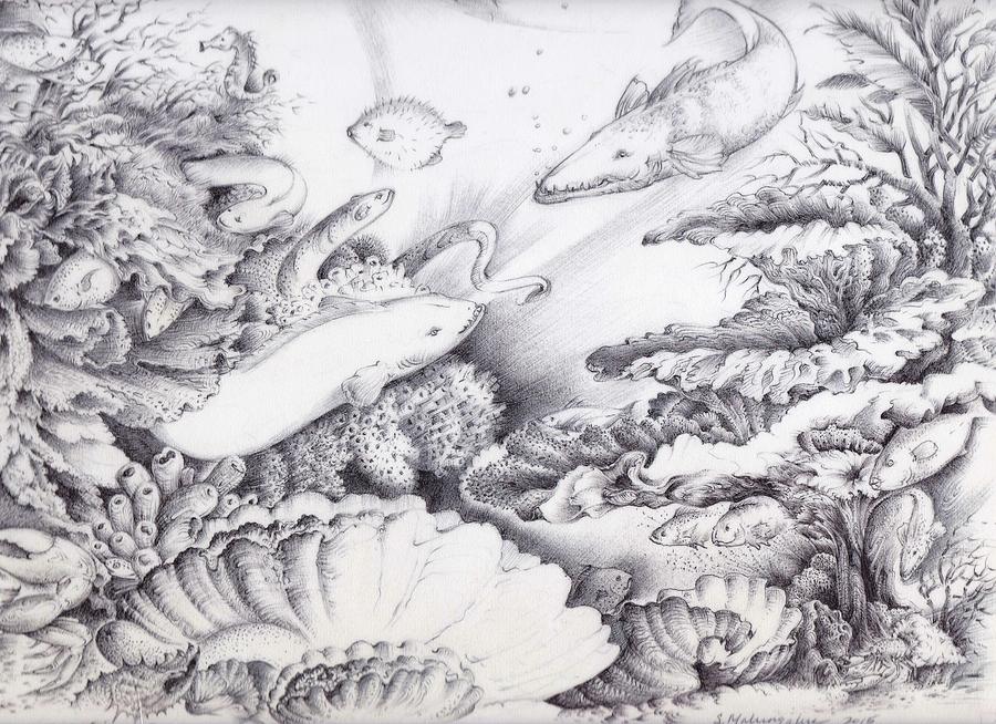 900x654 Under The South Sea Drawing By Semisi Malungahu - Under The Sea Sketch