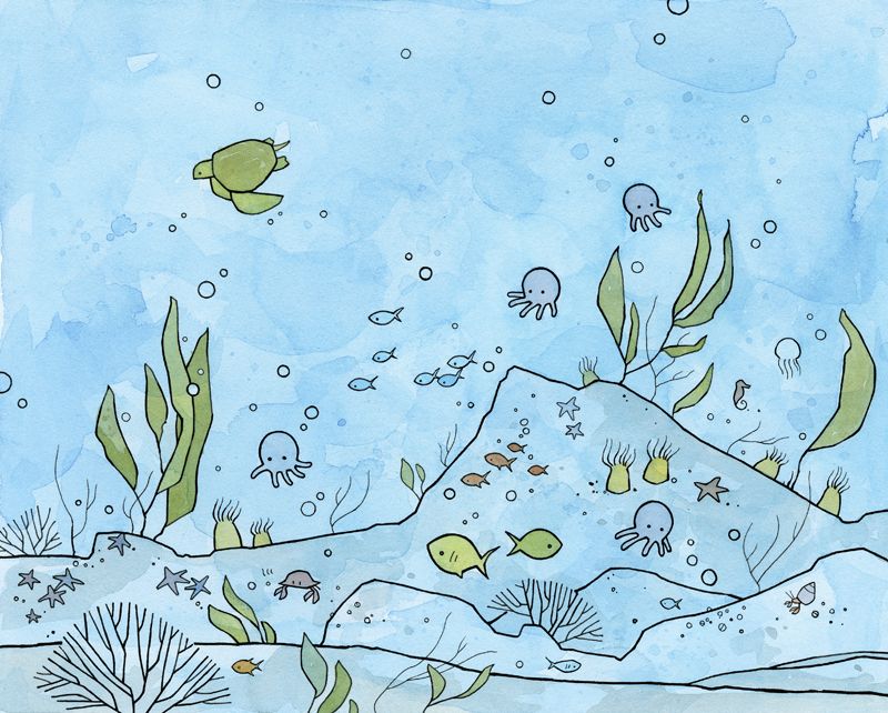 800x642 Under The Sea! Underwater Ocean Illustrations My Illustration - Under The Sea Sketch